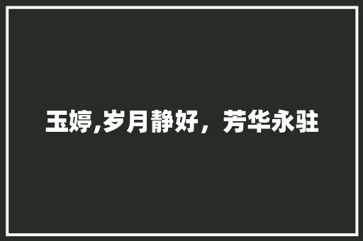 玉婷,岁月静好，芳华永驻
