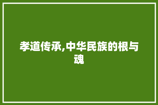 孝道传承,中华民族的根与魂