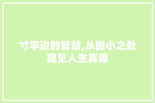 寸字边的智慧,从微小之处窥见人生真谛