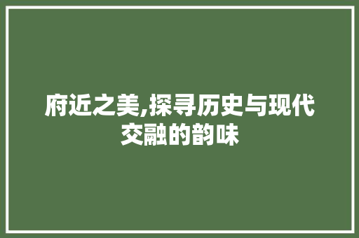 府近之美,探寻历史与现代交融的韵味