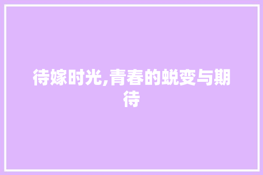 待嫁时光,青春的蜕变与期待 职场写作