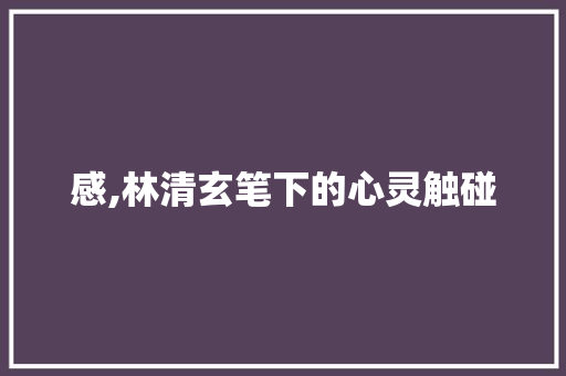 感,林清玄笔下的心灵触碰