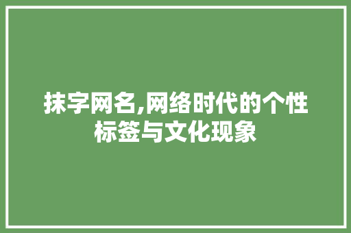 抹字网名,网络时代的个性标签与文化现象
