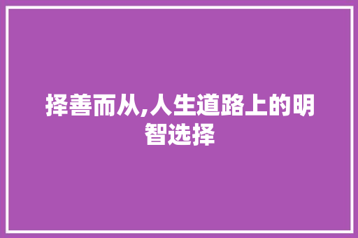 择善而从,人生道路上的明智选择