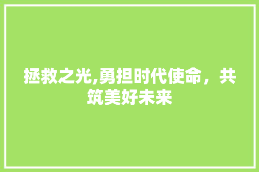 拯救之光,勇担时代使命，共筑美好未来