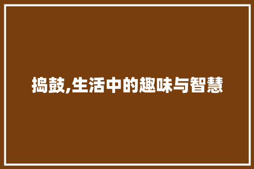 捣鼓,生活中的趣味与智慧 应用文