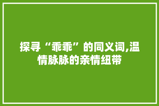 探寻“乖乖”的同义词,温情脉脉的亲情纽带 项目报告