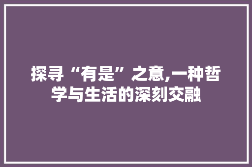 探寻“有是”之意,一种哲学与生活的深刻交融