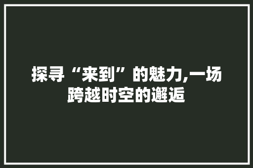 探寻“来到”的魅力,一场跨越时空的邂逅