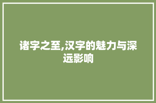 诸字之至,汉字的魅力与深远影响 项目报告