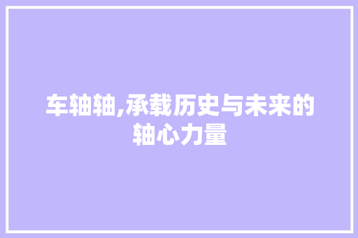 车轴轴,承载历史与未来的轴心力量 项目报告