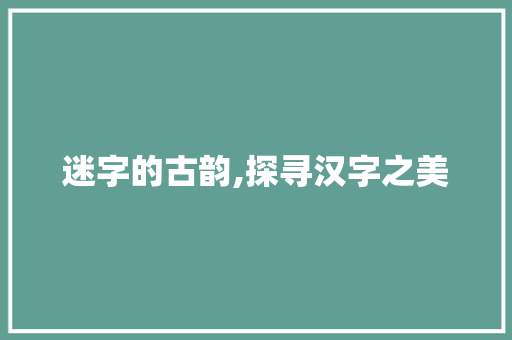 迷字的古韵,探寻汉字之美 项目报告