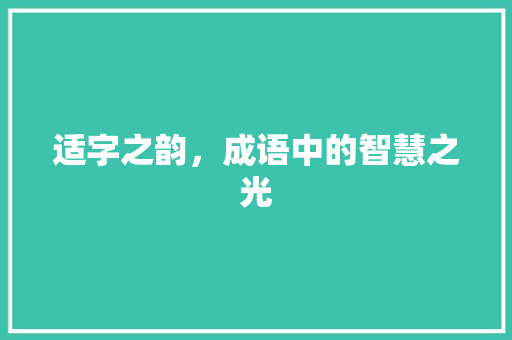 适字之韵，成语中的智慧之光