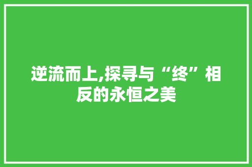 逆流而上,探寻与“终”相反的永恒之美
