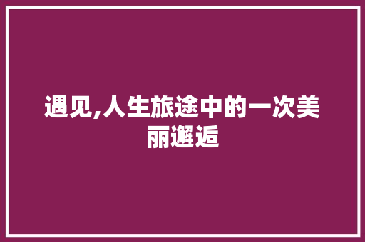 遇见,人生旅途中的一次美丽邂逅