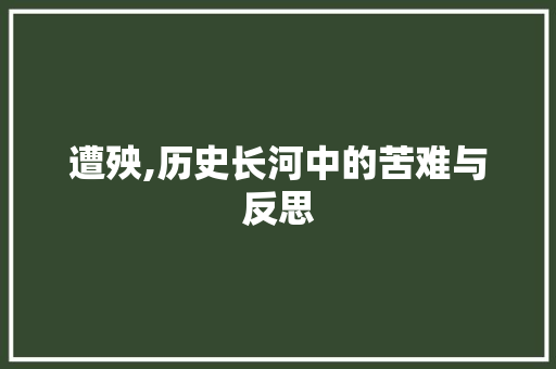 遭殃,历史长河中的苦难与反思