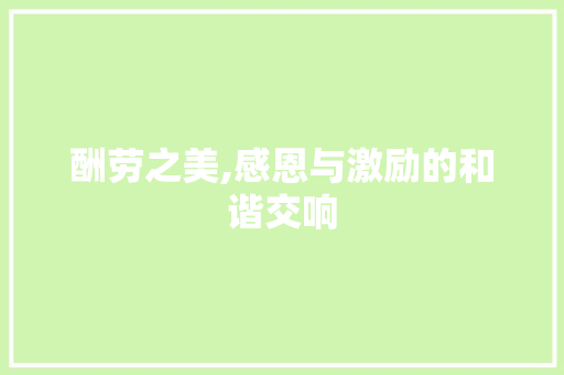 酬劳之美,感恩与激励的和谐交响