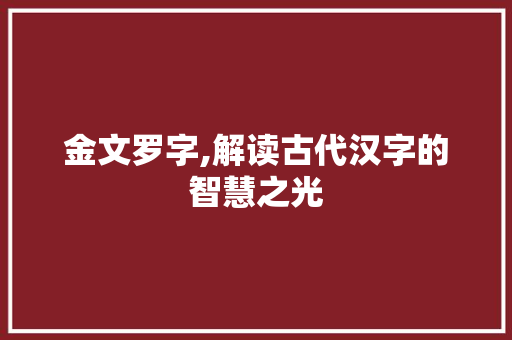 金文罗字,解读古代汉字的智慧之光