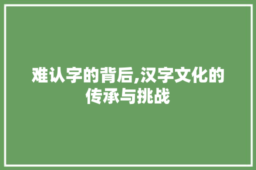 难认字的背后,汉字文化的传承与挑战