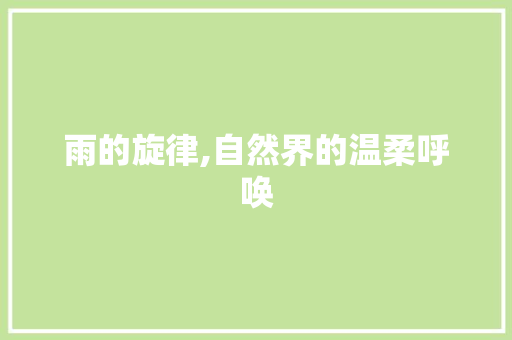 雨的旋律,自然界的温柔呼唤