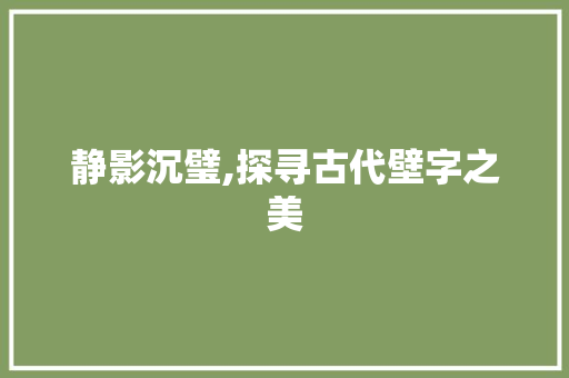 静影沉璧,探寻古代壁字之美