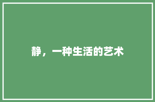 静，一种生活的艺术 项目报告