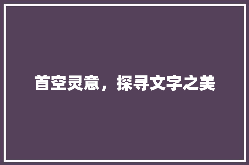 首空灵意，探寻文字之美