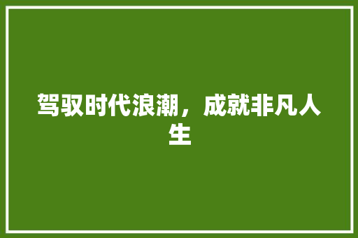驾驭时代浪潮，成就非凡人生
