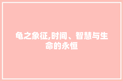 龟之象征,时间、智慧与生命的永恒
