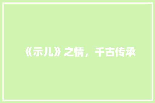 《示儿》之情，千古传承 工作总结