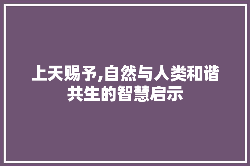 上天赐予,自然与人类和谐共生的智慧启示