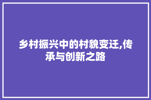 乡村振兴中的村貌变迁,传承与创新之路