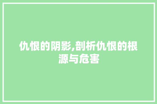 仇恨的阴影,剖析仇恨的根源与危害