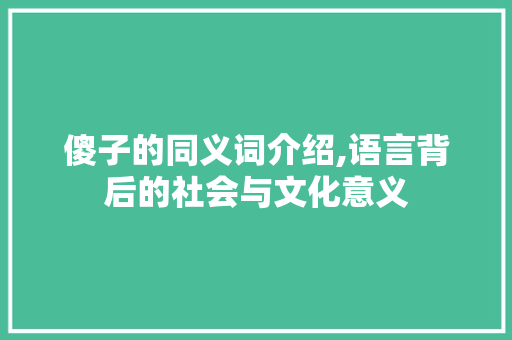 傻子的同义词介绍,语言背后的社会与文化意义