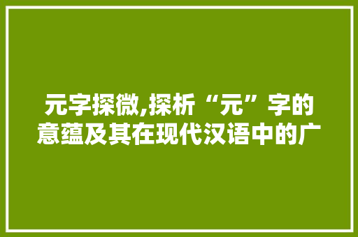 元字探微,探析“元”字的意蕴及其在现代汉语中的广泛应用