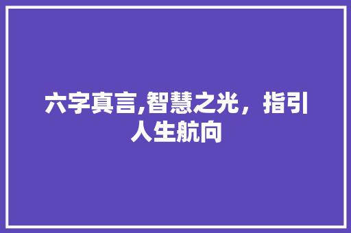 六字真言,智慧之光，指引人生航向