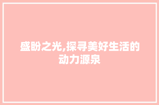 盛盼之光,探寻美好生活的动力源泉