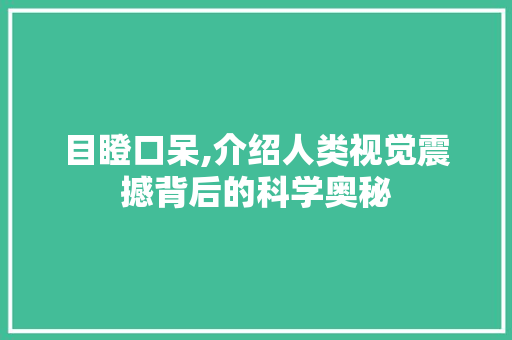 目瞪口呆,介绍人类视觉震撼背后的科学奥秘