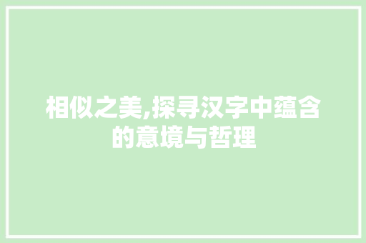 相似之美,探寻汉字中蕴含的意境与哲理