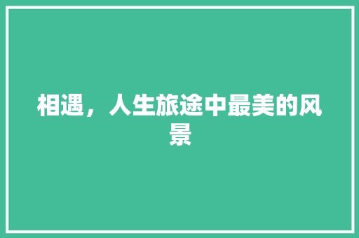 相遇，人生旅途中最美的风景