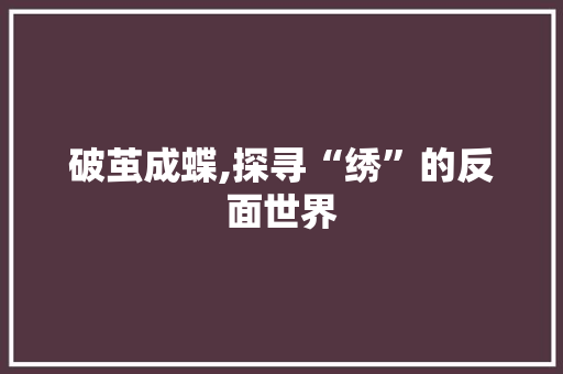 破茧成蝶,探寻“绣”的反面世界 应用文