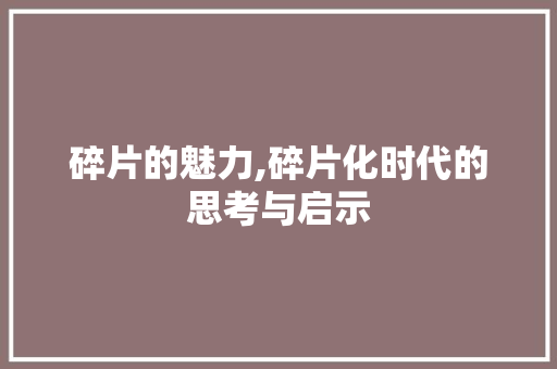 碎片的魅力,碎片化时代的思考与启示