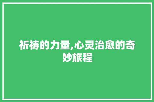 祈祷的力量,心灵治愈的奇妙旅程 工作总结