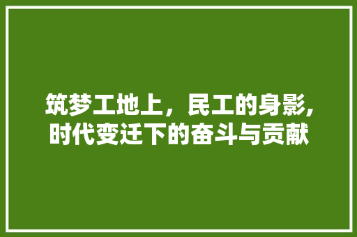 筑梦工地上，民工的身影,时代变迁下的奋斗与贡献