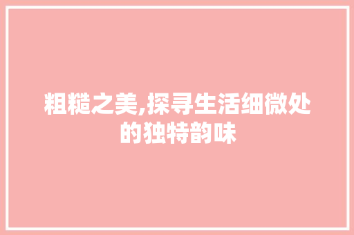 粗糙之美,探寻生活细微处的独特韵味 工作总结