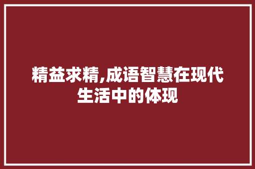 精益求精,成语智慧在现代生活中的体现