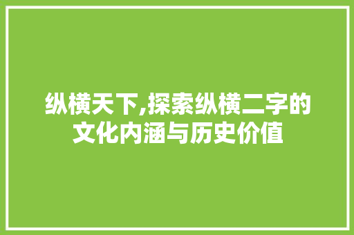 纵横天下,探索纵横二字的文化内涵与历史价值