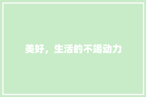 美好，生活的不竭动力