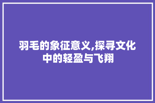羽毛的象征意义,探寻文化中的轻盈与飞翔