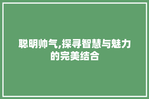 聪明帅气,探寻智慧与魅力的完美结合